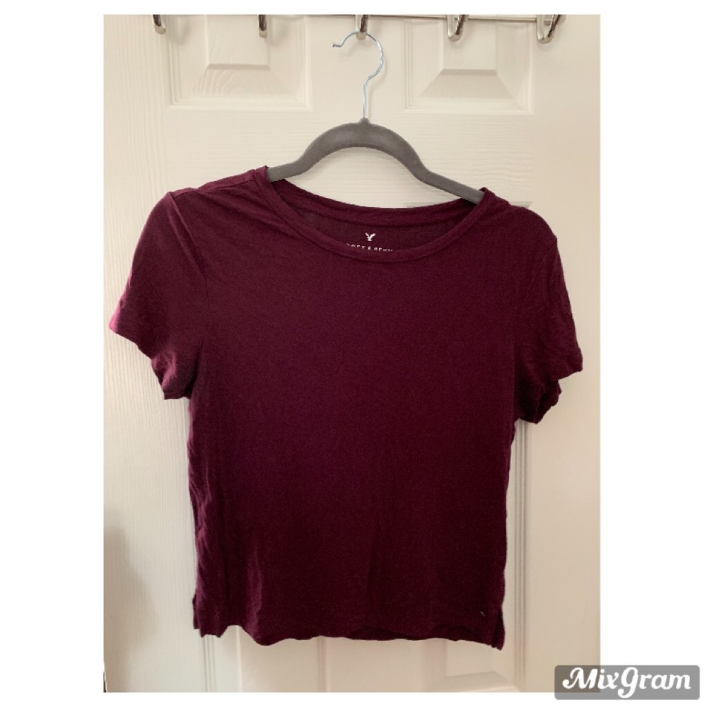 American Eagle Crop Top